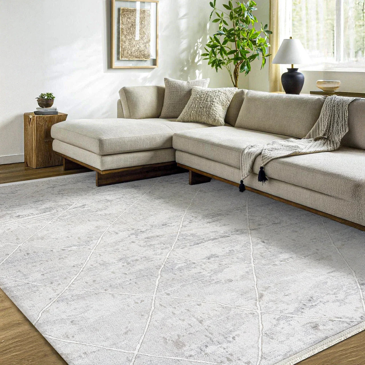 Beyaz Gri Dokulu Minimalist Halı - Yıkanabilir - Kaymaz Taban - Pati Dostu