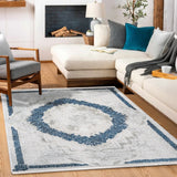 Light Grey Blue Classic Medallion Living Room Rug with Flowers - Acrylic Machine Woven