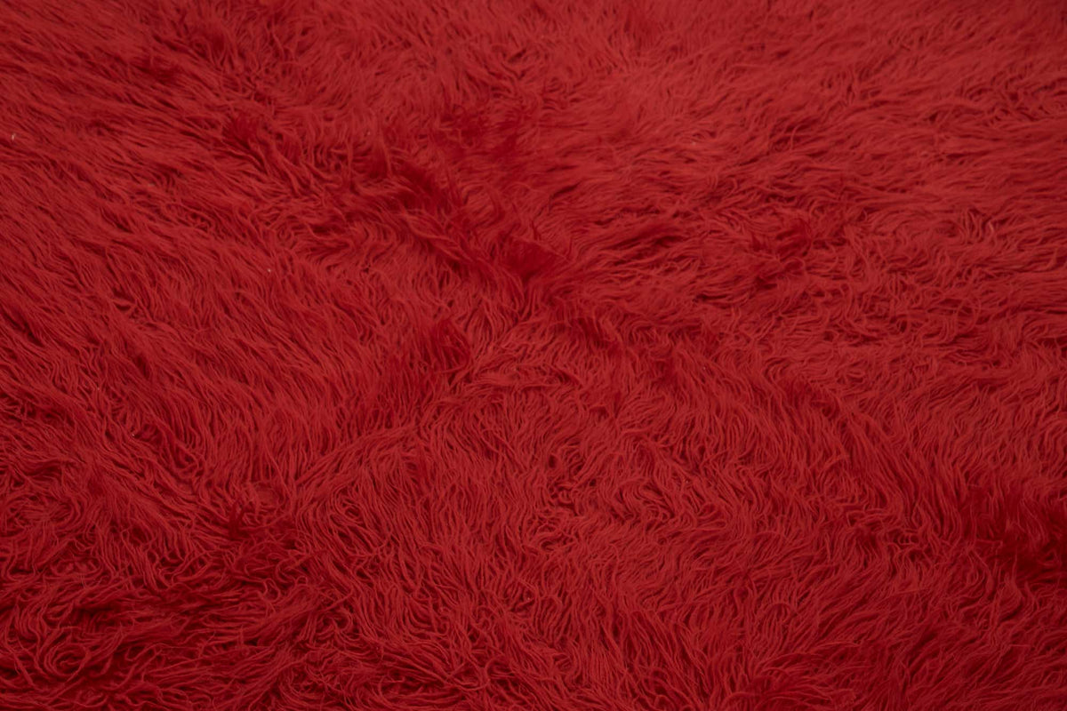 Timvi Tulu Düz Canlı Kırmızı ve Yeşil Shaggy Halı 175x240 cm – mekânda kullanım