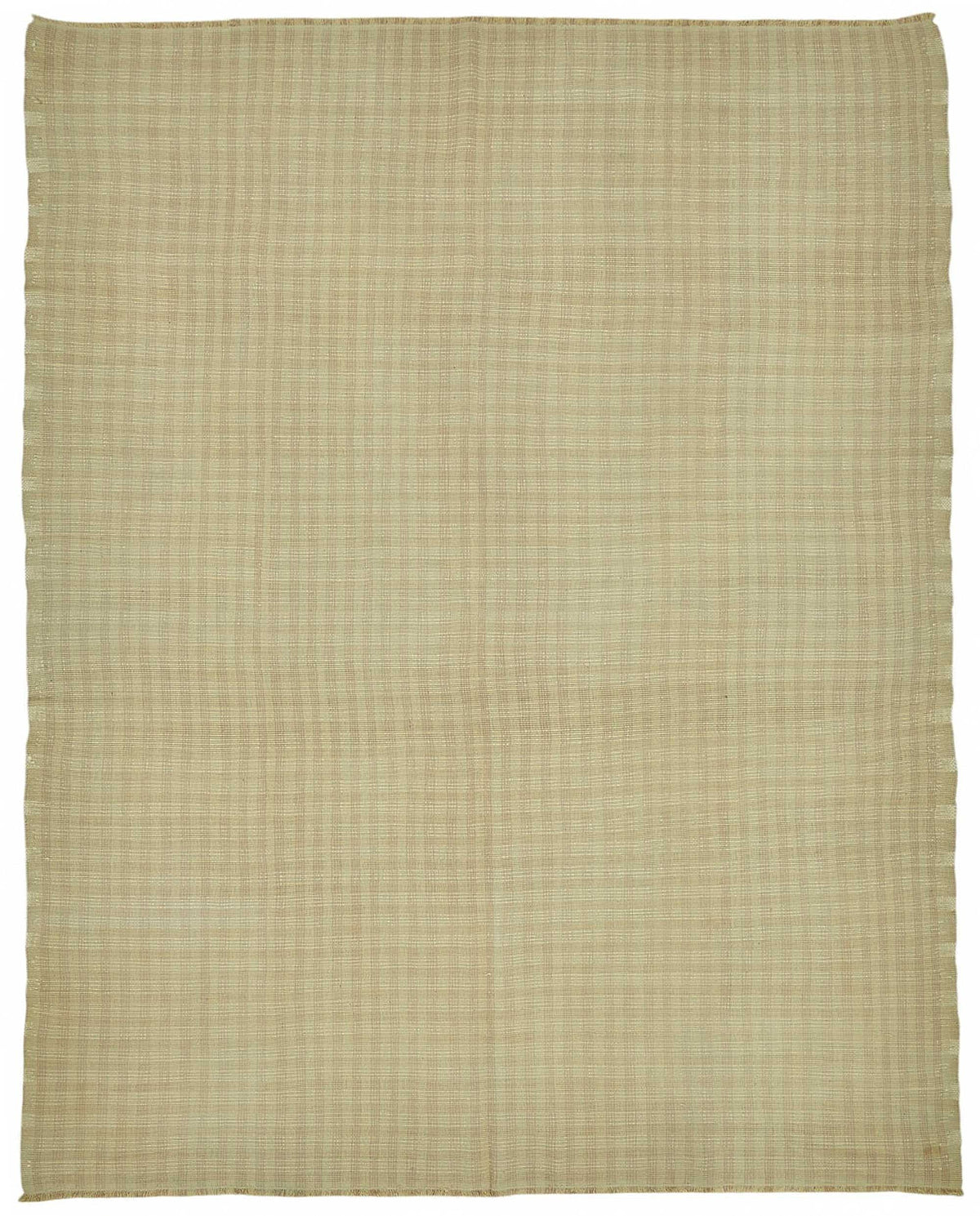 Gozvan Düz Bej Halı Modern Dokulu El Dokuması 248x316 cm 48929