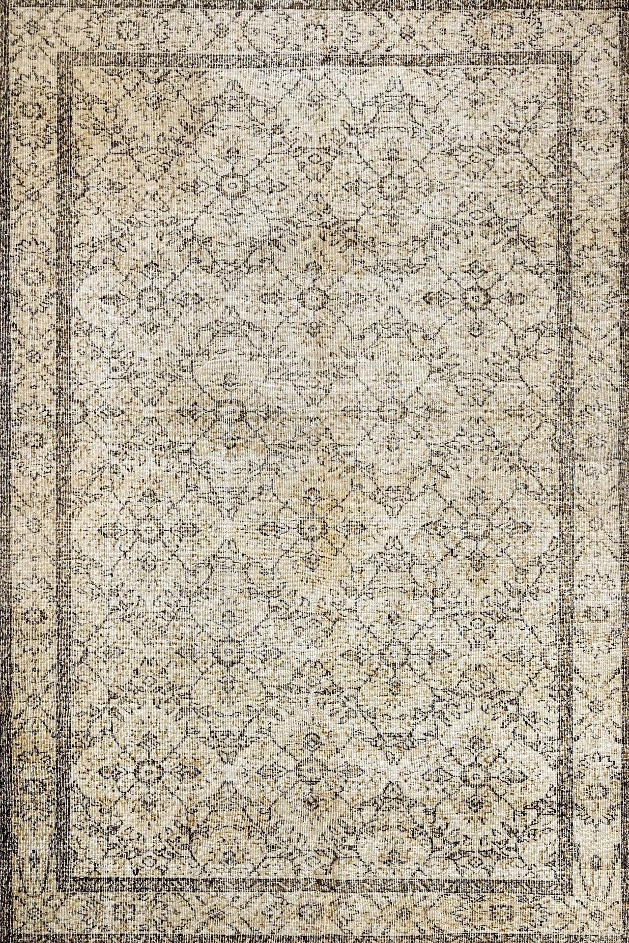 Bej Bordürlü Minimalist Halı - Yıkanabilir - Kaymaz Taban - Pati Dostu