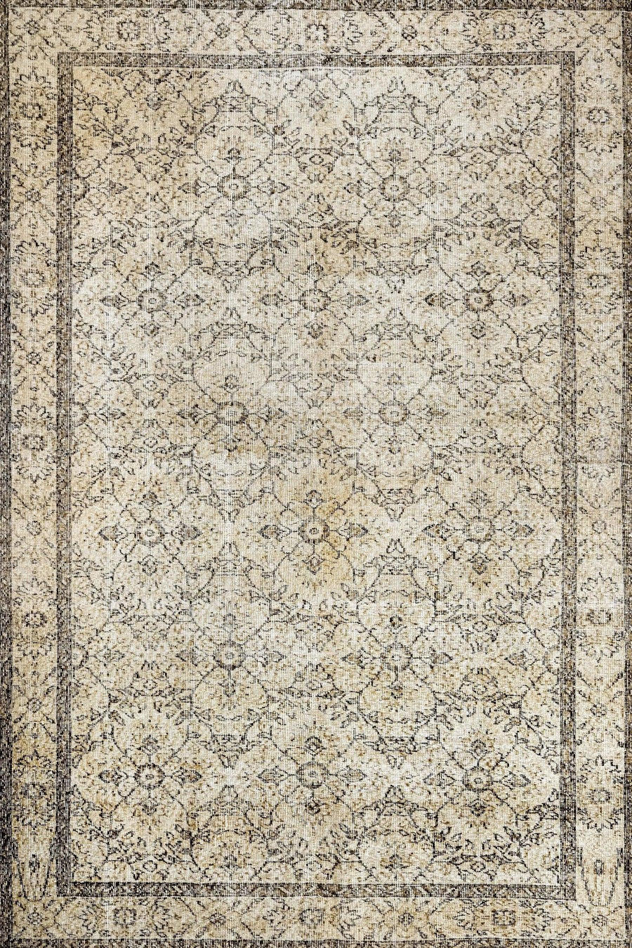 Bej Bordürlü Minimalist Halı - Yıkanabilir - Kaymaz Taban - Pati Dostu