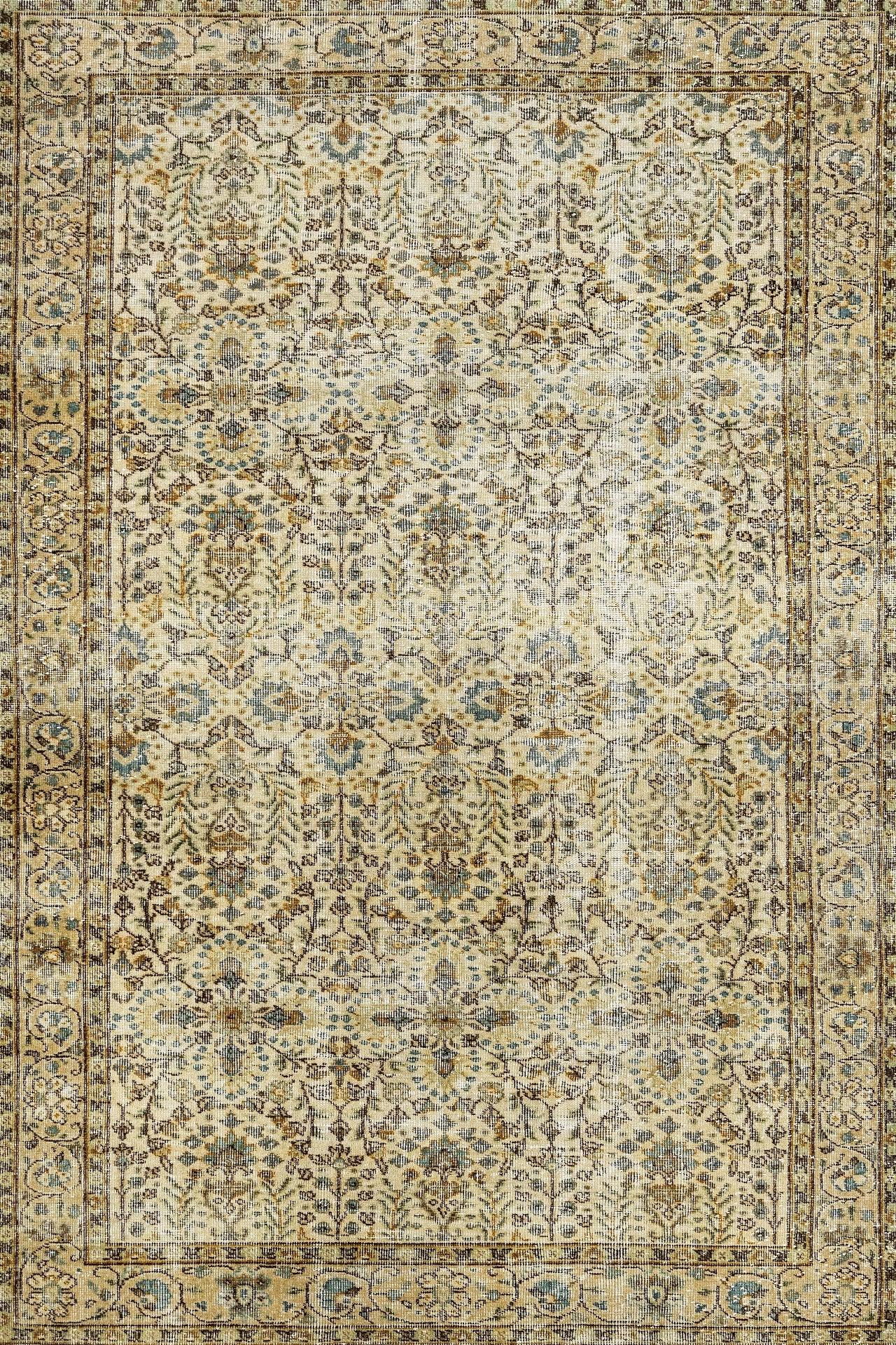 Bej Bordürlü Desenli Halı - Yıkanabilir - Kaymaz Taban - Pati Dostu