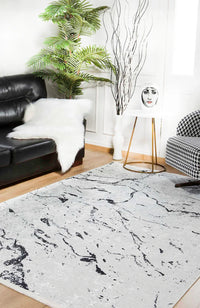 Modern Abstract Light Grey and Black Area Rug
