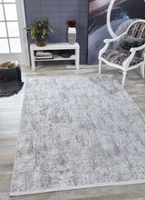 Gray Beige Distressed Living Room Rug with Distressed Effect