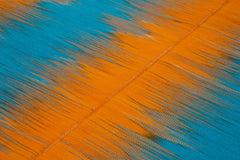 Degrade Kilim Turuncu Çizgili Pamuk Yün El Dokuma Halısı 203x287 Agacan