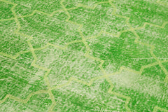 Geometric Carpet Yeşil Geometrik Pamuk Yün El Dokuma Halısı 144x280 Agacan