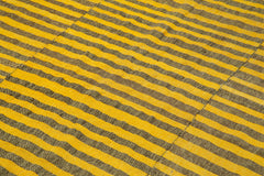 Striped Kilim Sarı Çizgili Pamuk Yün El Dokuma Halısı 195x293 Agacan