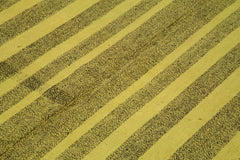 Geometric Kilim Yeşil Geometrik Keçi Tüyü El Dokuma Halısı 214x269 Agacan