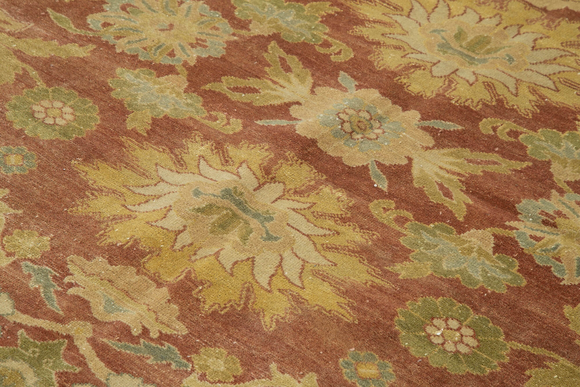 Tebriz Sarı Klasik Pamuk Yün El Dokuma Halısı 249x298 Agacan