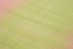 Degrade Kilim Pembe Çizgili Pamuk Yün El Dokuma Halısı 179x285 Agacan