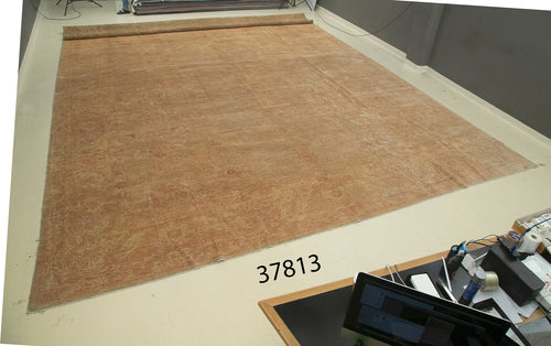 Tebriz Bej Klasik Pamuk Yün El Dokuma Halısı 497x766 Agacan