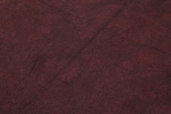 Needlepoint Mor Çiçekli Pamuk Yün El Dokuma Halısı 166x258 Agacan