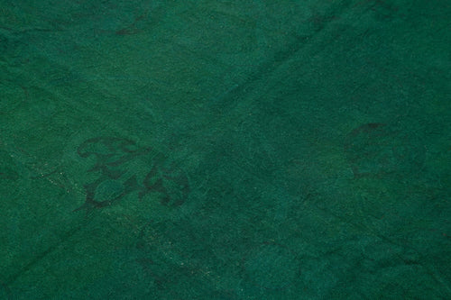 Needlepoint Yeşil Çiçekli Pamuk Yün El Dokuma Halısı 163x242 Agacan