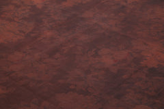 Needlepoint Kahverengi Çiçekli Pamuk Yün El Dokuma Halısı 249x343 Agacan