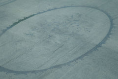 Needlepoint Mavi Çiçekli Pamuk Yün El Dokuma Halısı 276x388 Agacan