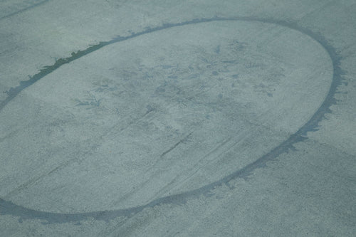 Needlepoint Mavi Çiçekli Pamuk Yün El Dokuma Halısı 276x388 Agacan