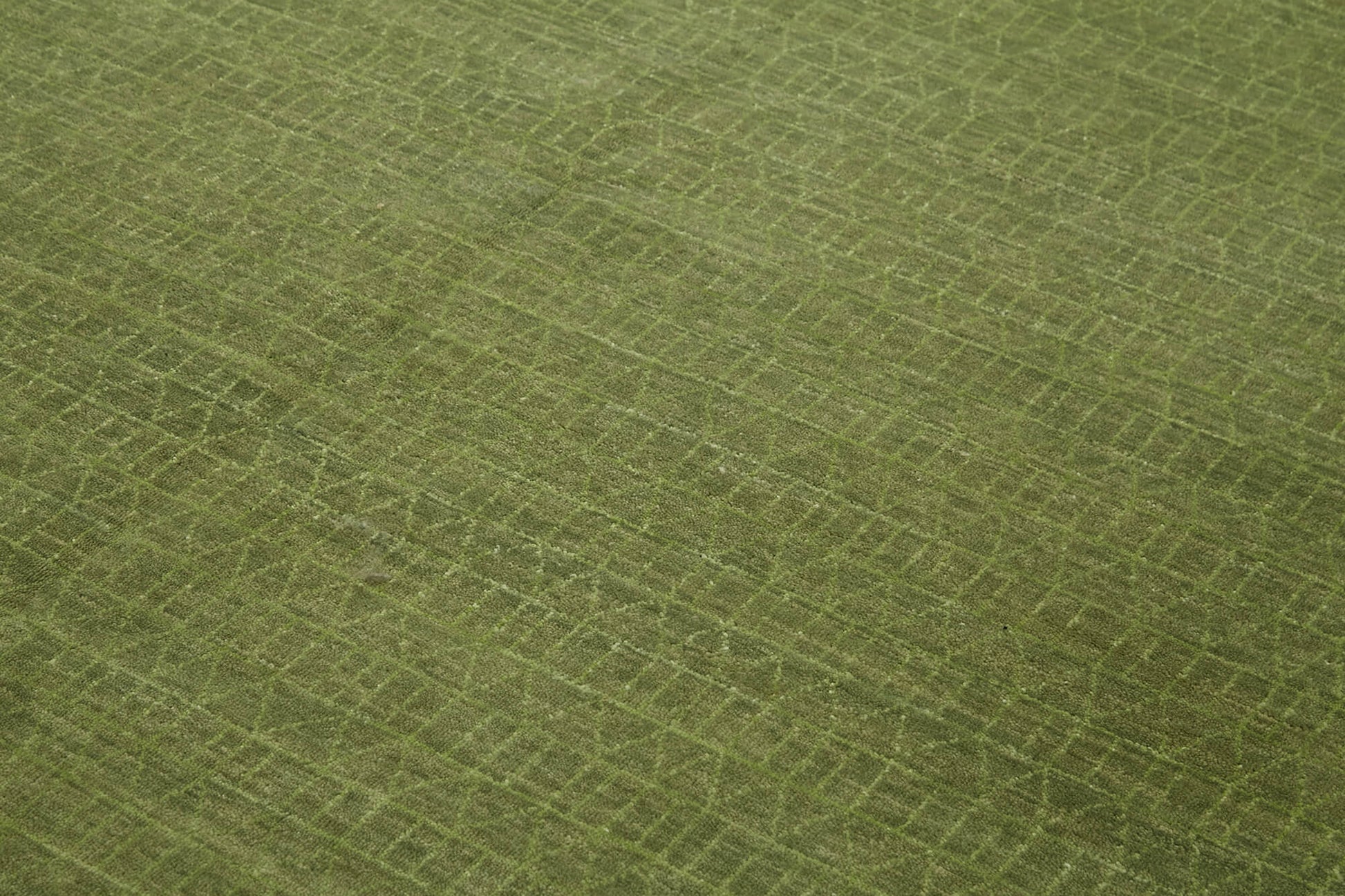 Tebriz Yeşil Klasik Pamuk Yün El Dokuma Halısı 241x307 Agacan