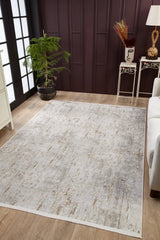 Light Gray Beige Distressed Living Room Rug Abstract
